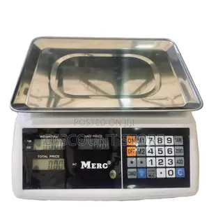 Electric Stainless Weigh Scales