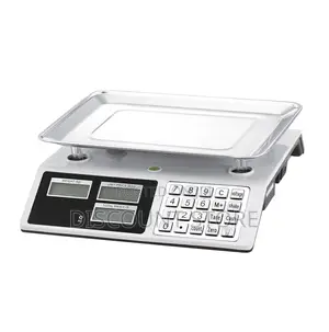Computing Mastery Weigh Scales