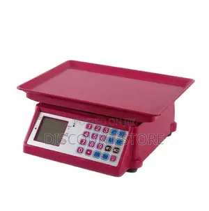 Everyday Computing Weigh Scales