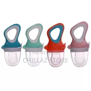 Baby Fruit Feeder