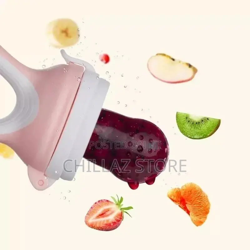 Baby Fruit Feeder