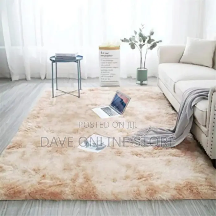 Fluffy Area Rugs / Carpet
