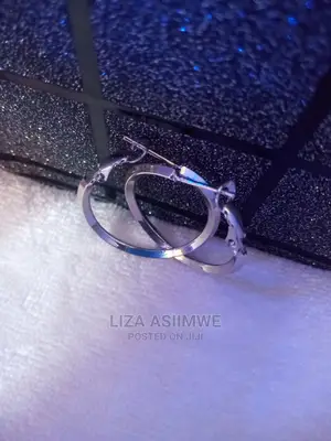 Round Silver Danglars Available