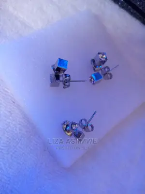 Simple Lady Ear Pins Available Each Pair Is at 5 Thousand