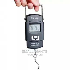 Portable Digital Weighing Scale
