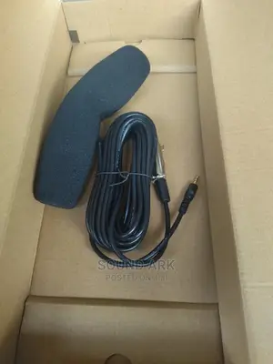 Panasonic Boom Microphone/Condenser Mic