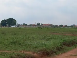 Kasangati Two Gorgeous Plots All Fenced Estate