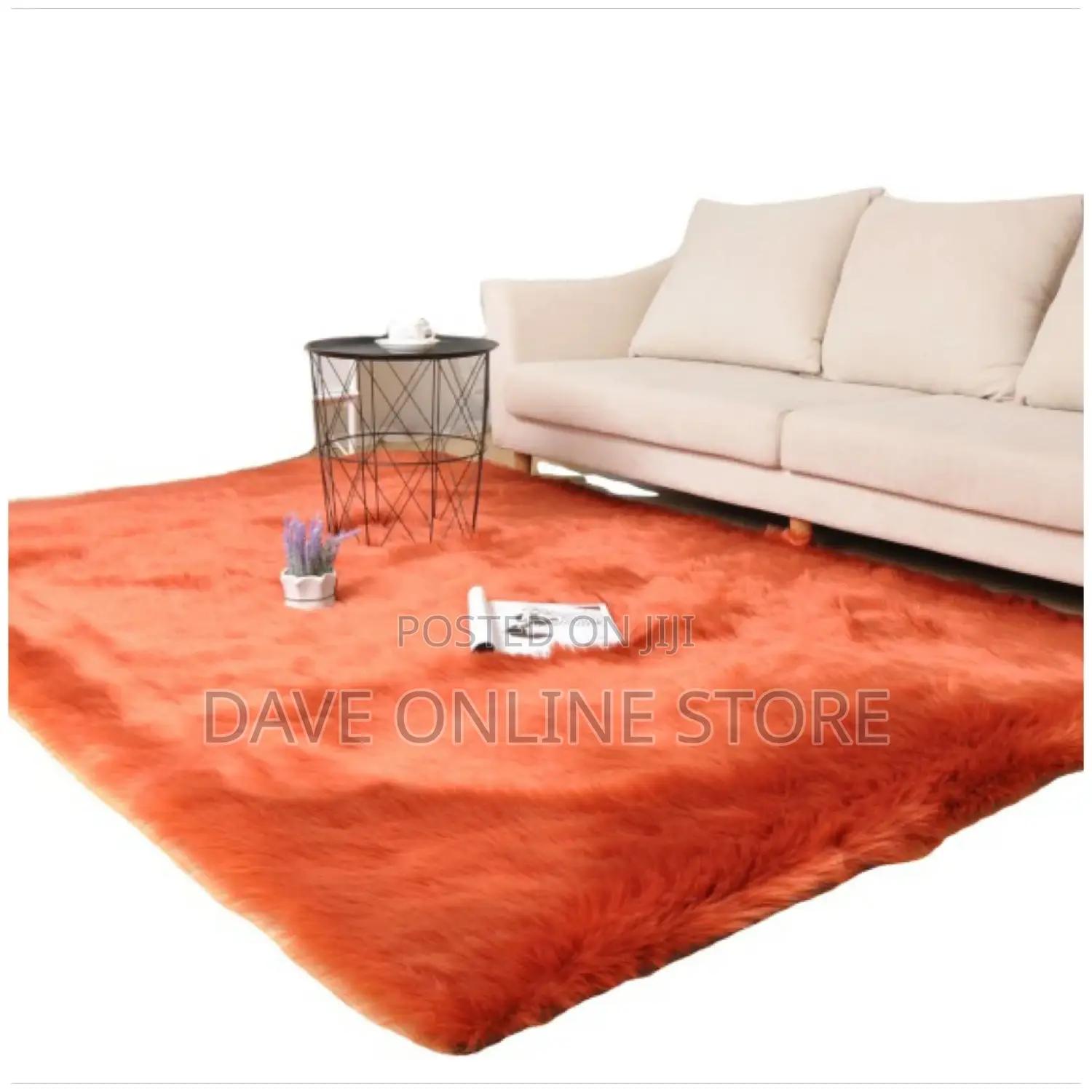 Area Rugs (Carpets)