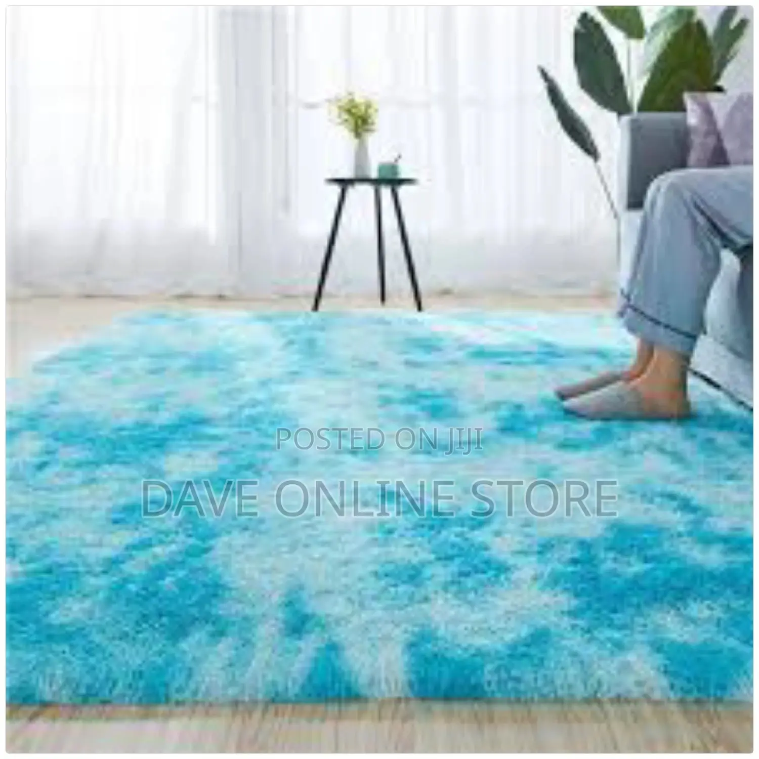 Area Rugs (Carpets)