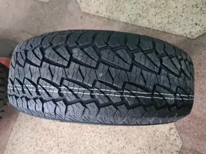 265/65r17 Practical Max Tires