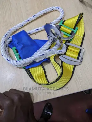 Safety Belt