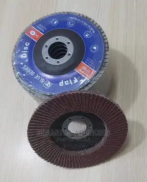 Flap Discs(Grit 60 And 80)