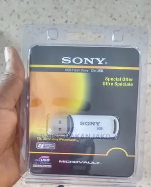 2GB Flash Disk