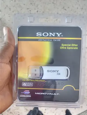 2GB Flash Disk