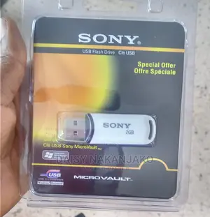 2GB Flash Disk