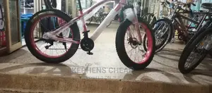 Big Fat Bicycles