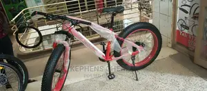 Big Fat Bicycles