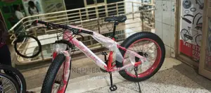 Big Fat Bicycles