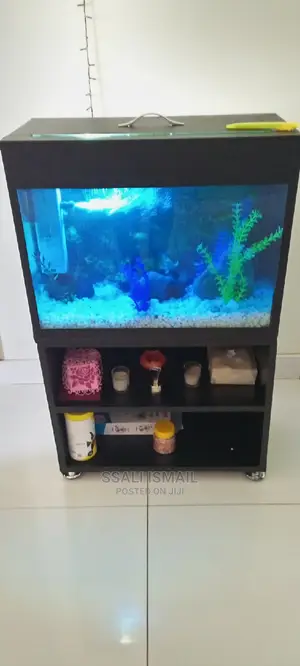 Its Attractive and Fairly Priced