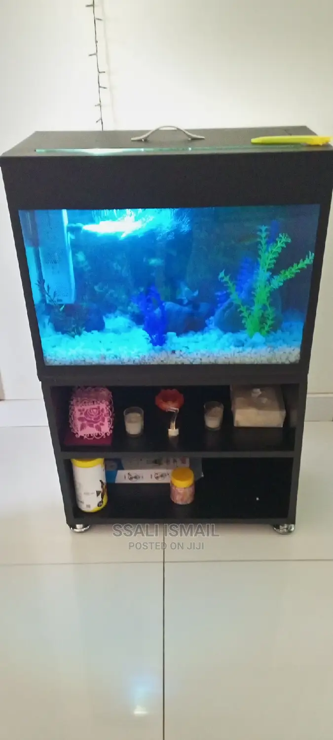 Its Attractive and Fairly Priced