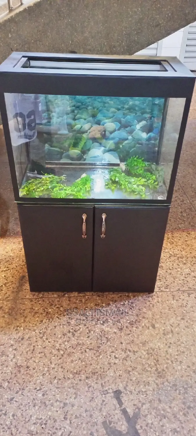 Simple and Precise With Adurable Stand
