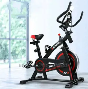 Fly Wheel Spinning Bike