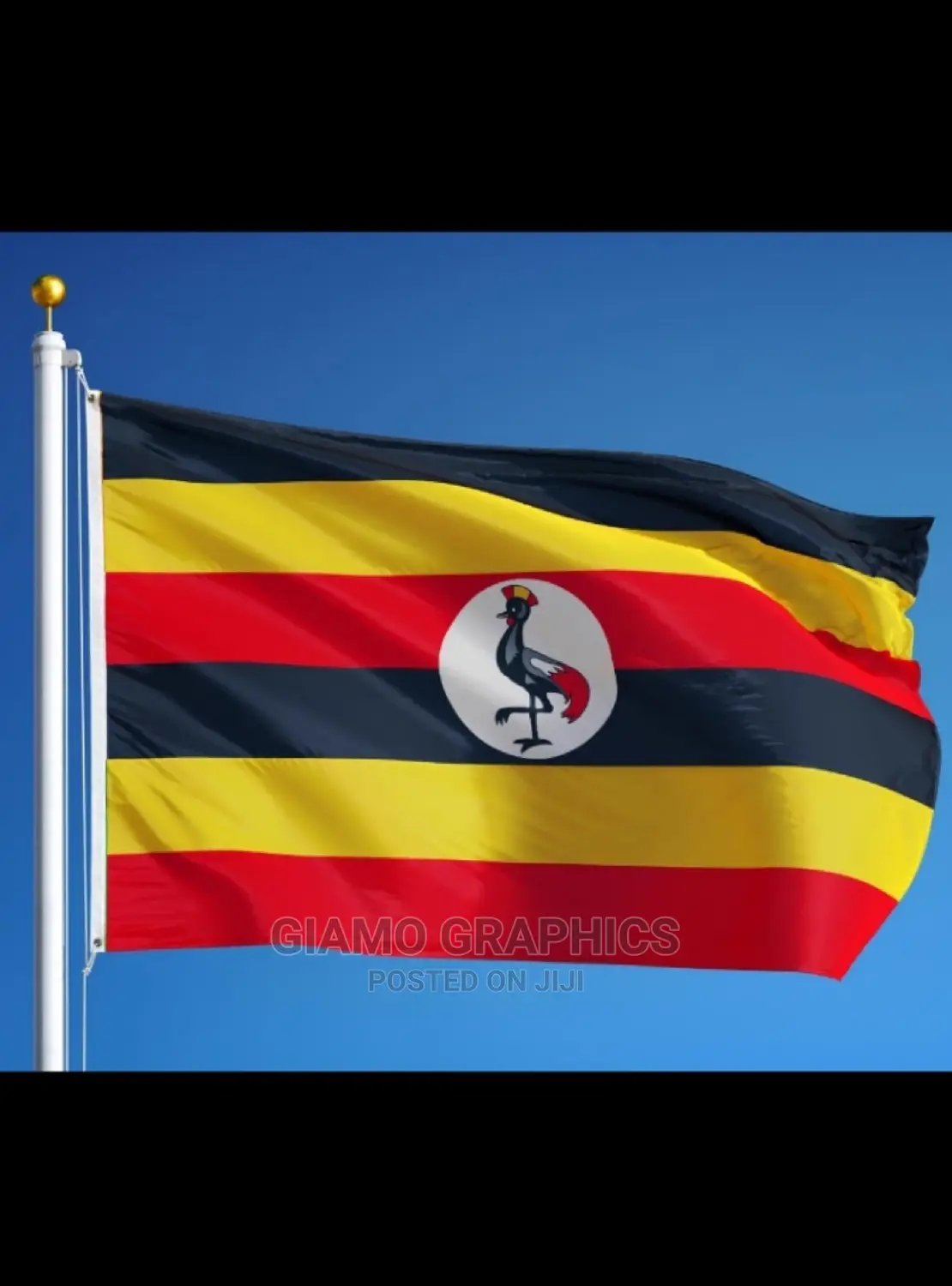 Flags Customized and Non Customized