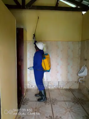 Interior House Fumigation/Pests and Insects Control