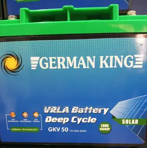 50ah German King Battery