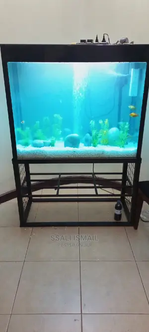 Making Nice Aquarium for Clients Satisfaction