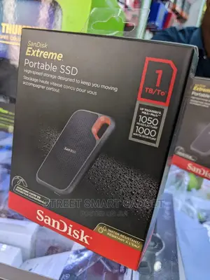 1-Terabyte Sandisk Flash Drive