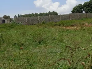 Kasangati Two Plots on Market