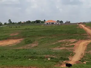 Two Plots in Kasangati Gated Neighborhood