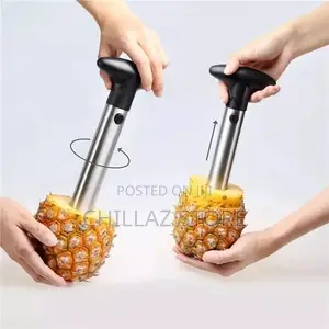 Pineapple Cutter