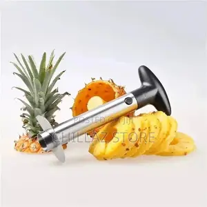 Pineapple Cutter