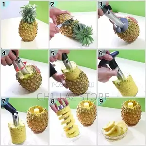 Pineapple Cutter