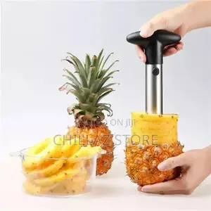 Pineapple Cutter