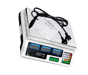 ACS Electronic Computing Weighing Systems