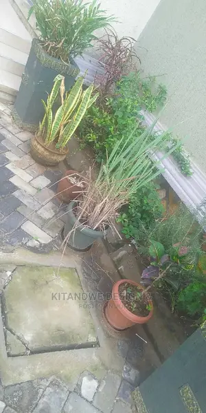 Landscaping And Gardening