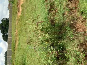 Kasangati 100 by 100 in Gated Tarmack Access Estate