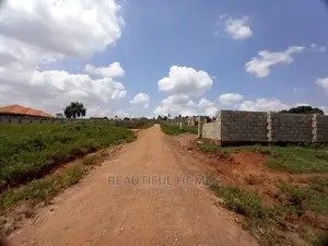100 by 100 at Kasangati Planned Gated Environment