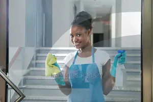 Office Cleaners