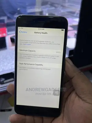 Apple iPhone 6 Plus 64 GB Gray