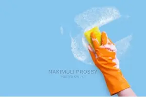 Professional Cleaning Services or Cleaner