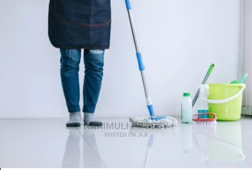 House Cleaning Services/ Home Cleaner