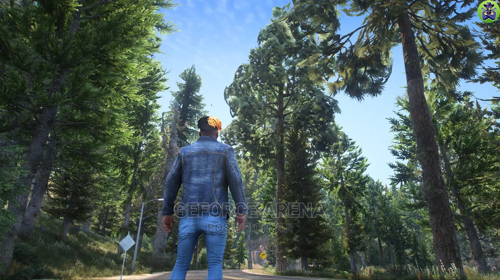 GTA 5 - Realistic Graphics Mod for PC + Free Installation