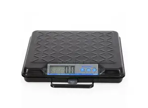 Rechargeable Computing Weigh Systems