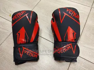 Boxing Gloves Venum Classic