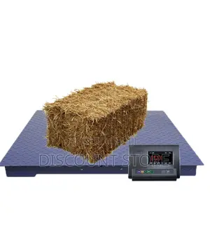High Sensitive Floor Digital Weighing Scale