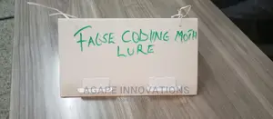 False Codling Moth Traps